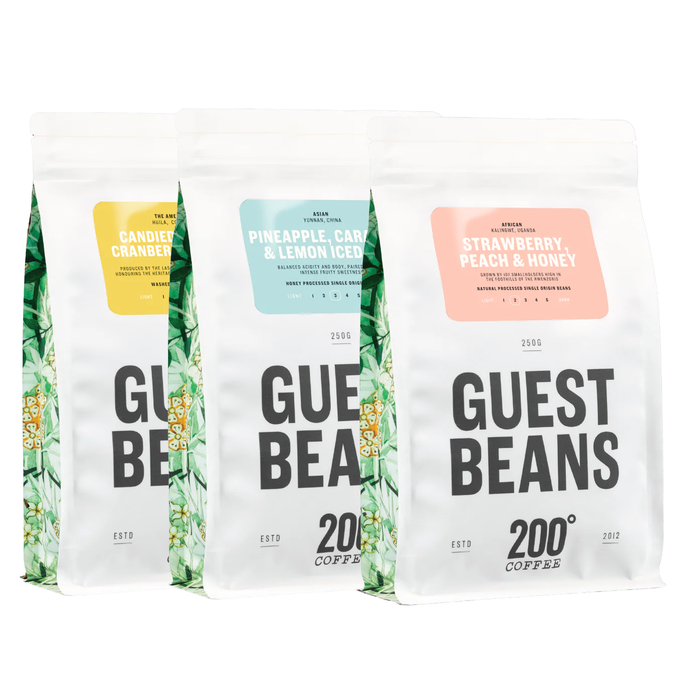 Guest Beans